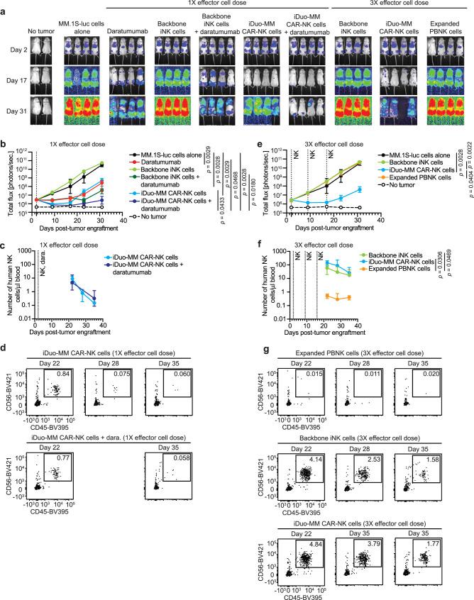 https://cdn.ncbi.nlm.nih.gov/pmc/blobs/997c/9709157/2750715d56b7/41467_2022_35127_Fig5_HTML.jpg