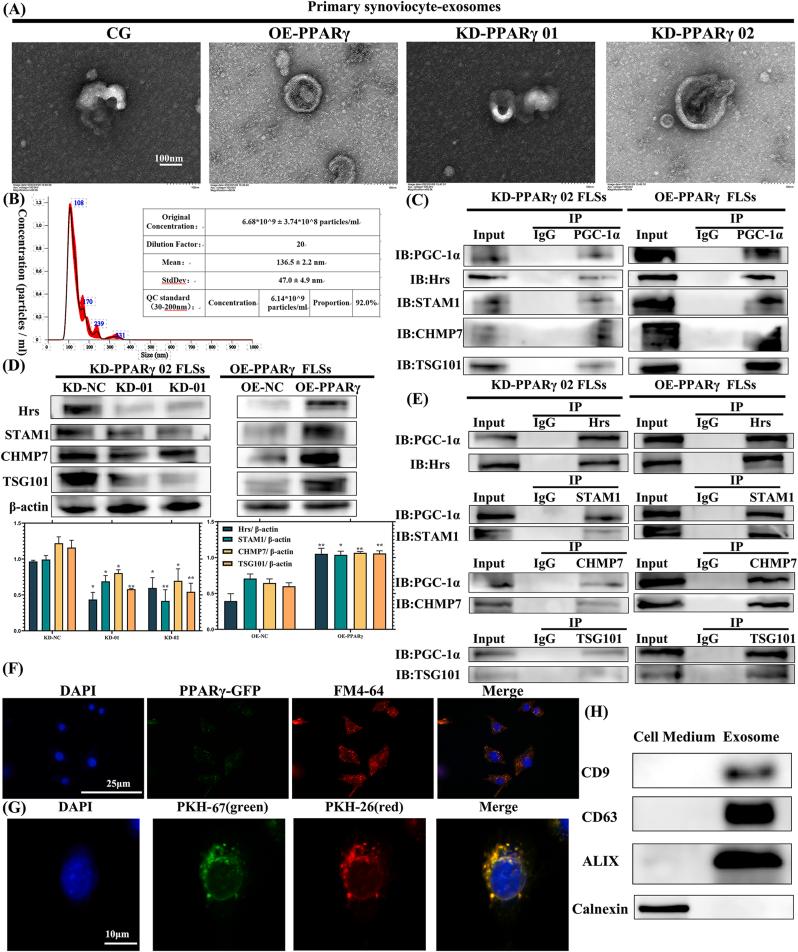 https://cdn.ncbi.nlm.nih.gov/pmc/blobs/997d/12268348/8c5e9813ca60/gr2.jpg