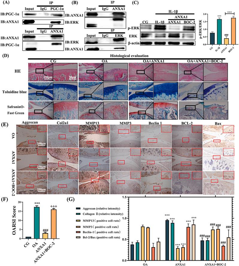 https://cdn.ncbi.nlm.nih.gov/pmc/blobs/997d/12268348/fa053f0e0d1b/gr5.jpg