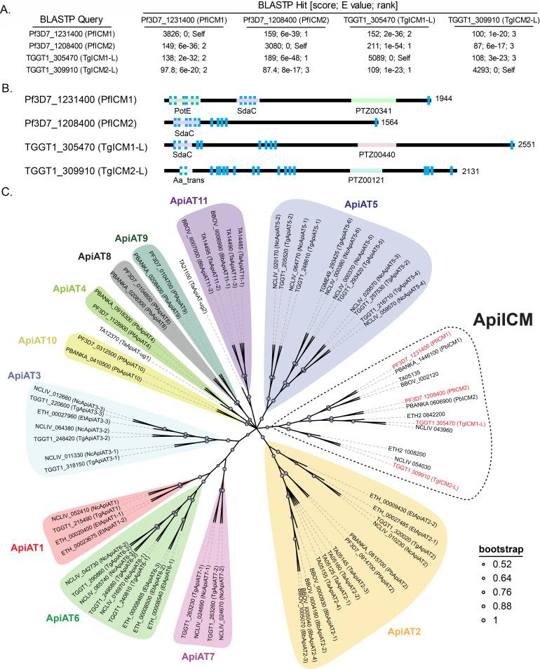 https://cdn.ncbi.nlm.nih.gov/pmc/blobs/997f/11448412/a62d0a8f6a25/spectrum.01229-24.f001.jpg