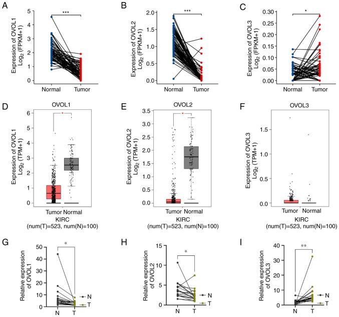 https://cdn.ncbi.nlm.nih.gov/pmc/blobs/9985/10079820/770636786925/ol-25-05-13765-g00.jpg