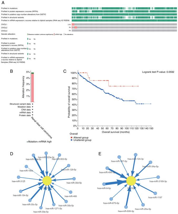 https://cdn.ncbi.nlm.nih.gov/pmc/blobs/9985/10079820/ba7c3820d429/ol-25-05-13765-g03.jpg