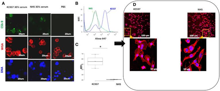 https://cdn.ncbi.nlm.nih.gov/pmc/blobs/9986/9703090/81566f2c3596/fimmu-13-1008294-g003.jpg