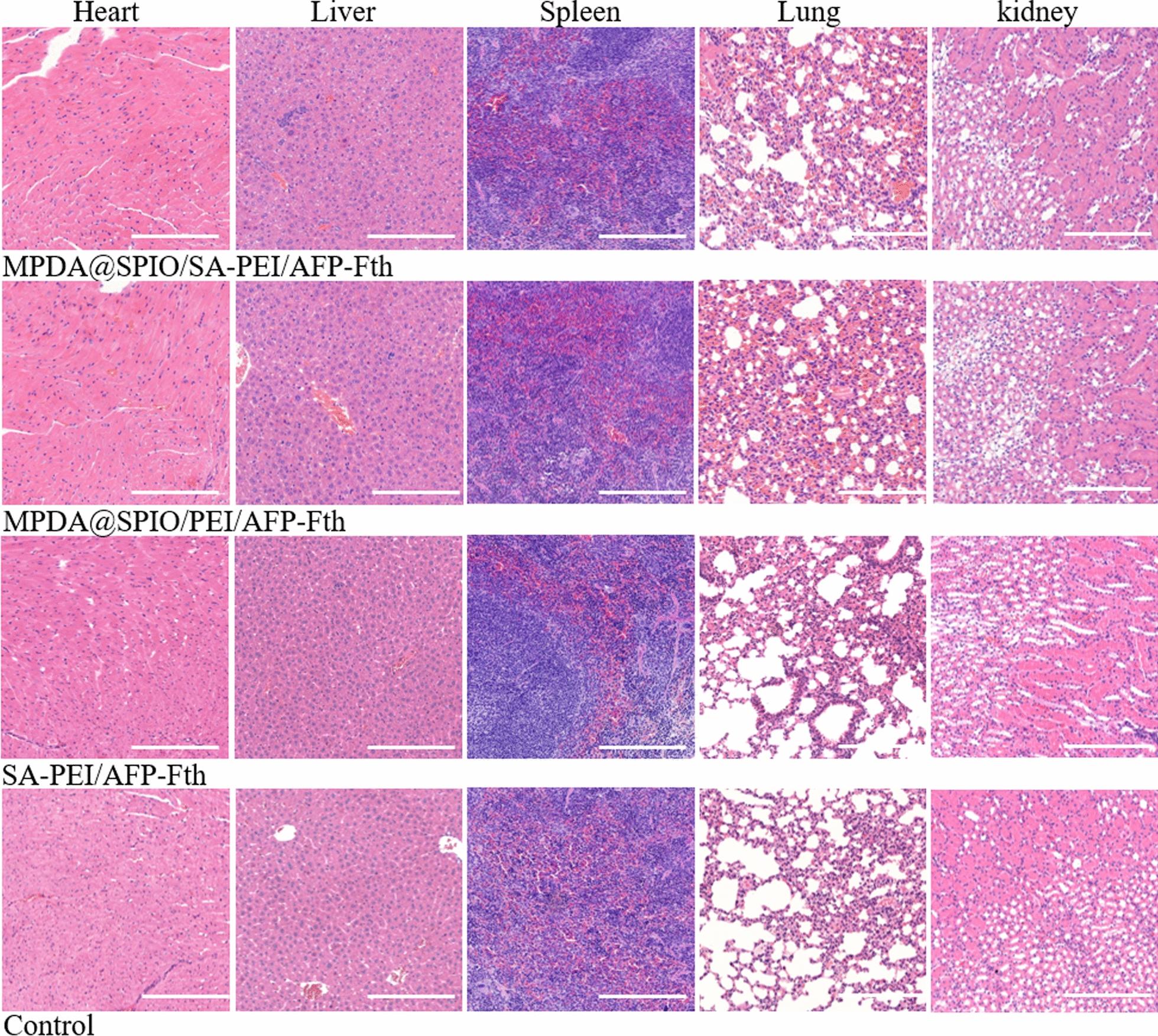 https://cdn.ncbi.nlm.nih.gov/pmc/blobs/9989/7968241/3c6bb5999ca5/12951_2021_821_Fig7_HTML.jpg