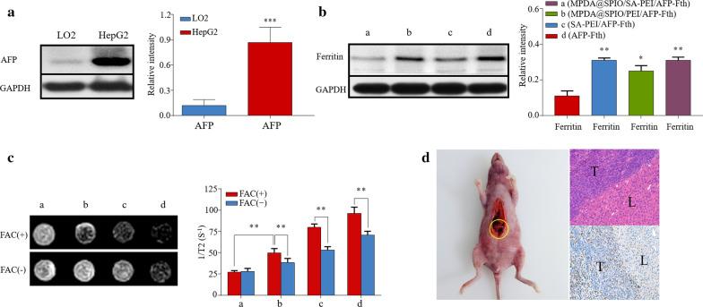 https://cdn.ncbi.nlm.nih.gov/pmc/blobs/9989/7968241/6d003a4e5a77/12951_2021_821_Fig5_HTML.jpg