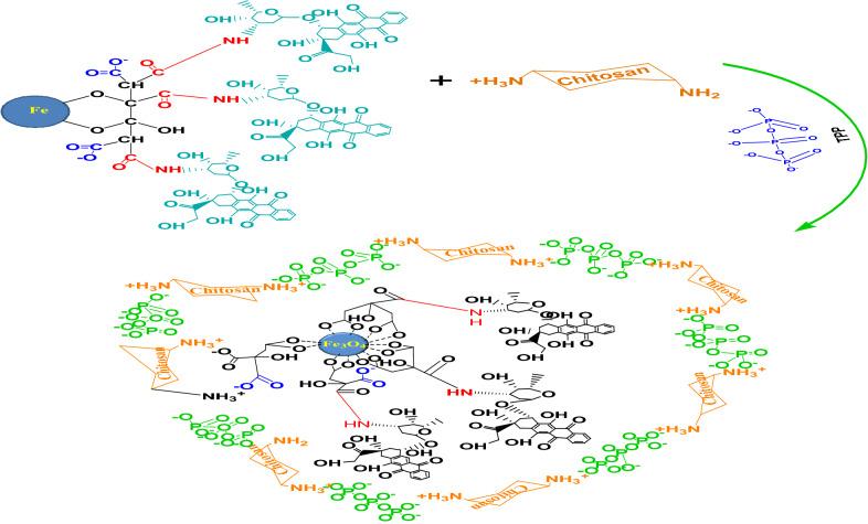 https://cdn.ncbi.nlm.nih.gov/pmc/blobs/998a/9926567/198b9e79c35c/13065_2023_915_Fig3_HTML.jpg