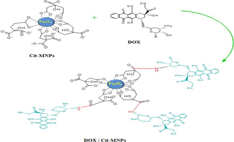 https://cdn.ncbi.nlm.nih.gov/pmc/blobs/998a/9926567/ad86fd4c64b3/13065_2023_915_Fig2_HTML.jpg