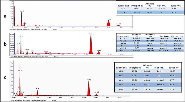 https://cdn.ncbi.nlm.nih.gov/pmc/blobs/998a/9926567/b1eecc330b74/13065_2023_915_Fig6_HTML.jpg