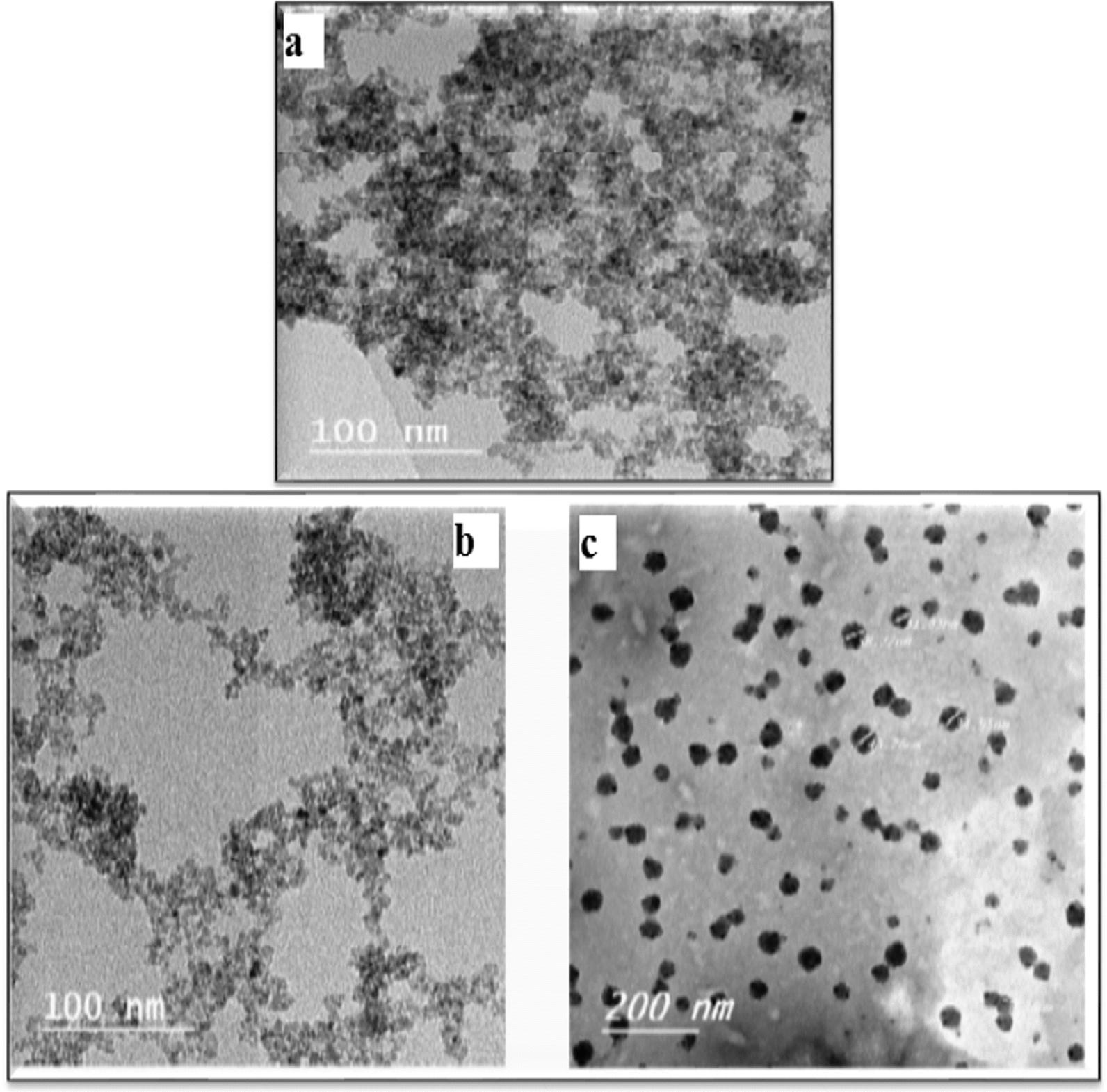 https://cdn.ncbi.nlm.nih.gov/pmc/blobs/998a/9926567/f8b8fdba3642/13065_2023_915_Fig5_HTML.jpg
