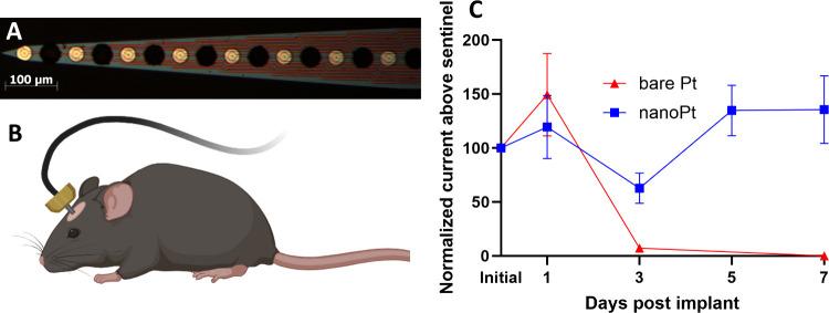 https://cdn.ncbi.nlm.nih.gov/pmc/blobs/998c/11310907/b6ba2954584d/am4c06692_0005.jpg