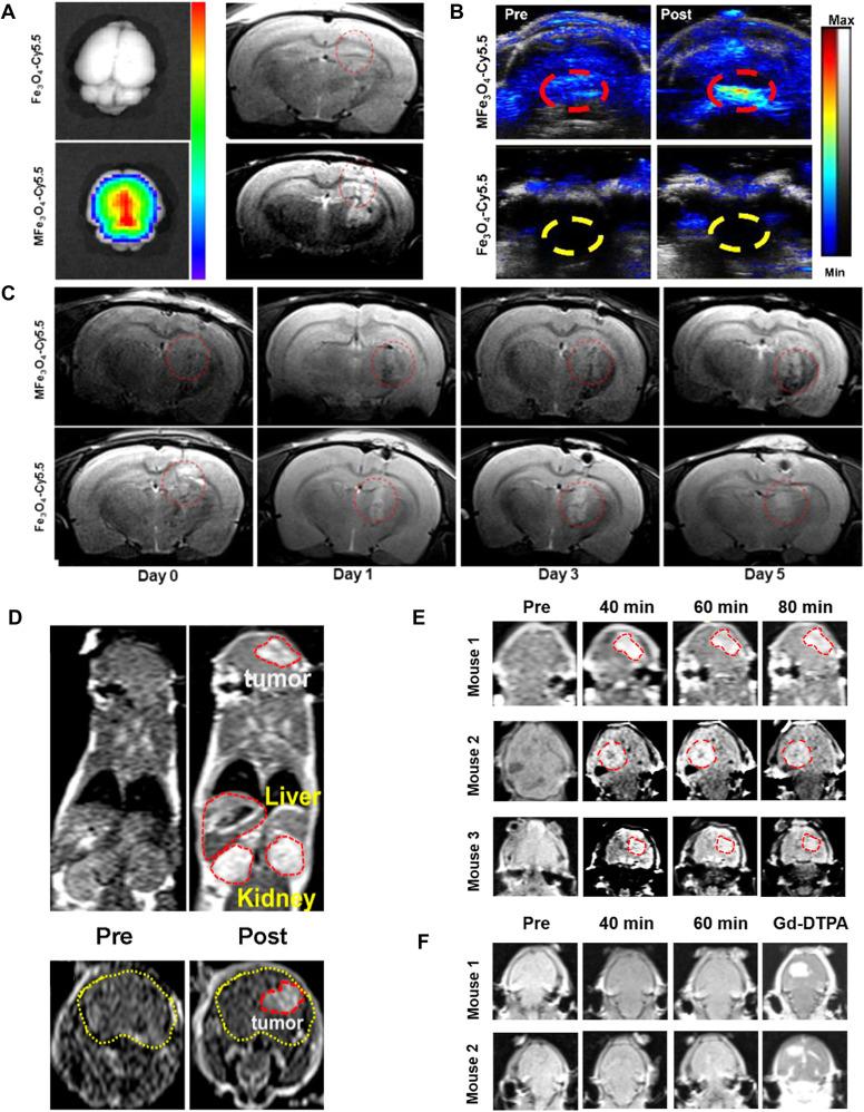 https://cdn.ncbi.nlm.nih.gov/pmc/blobs/998d/10749175/2a68294ea4c1/IJN-18-7803-g0003.jpg
