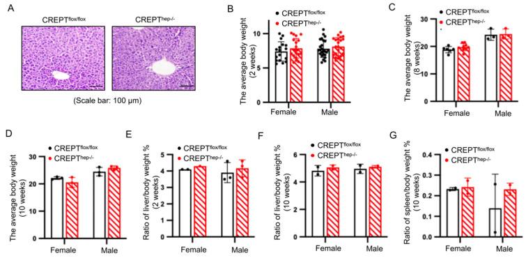 https://cdn.ncbi.nlm.nih.gov/pmc/blobs/998d/11728809/2a32c7461119/toxics-12-00893-g002.jpg