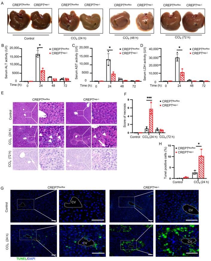 https://cdn.ncbi.nlm.nih.gov/pmc/blobs/998d/11728809/d71c962742f5/toxics-12-00893-g003.jpg