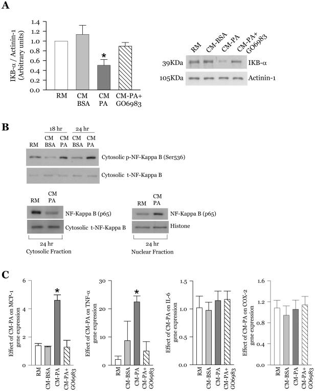https://cdn.ncbi.nlm.nih.gov/pmc/blobs/998d/3202600/b50cc8b534e9/pone.0026947.g007.jpg