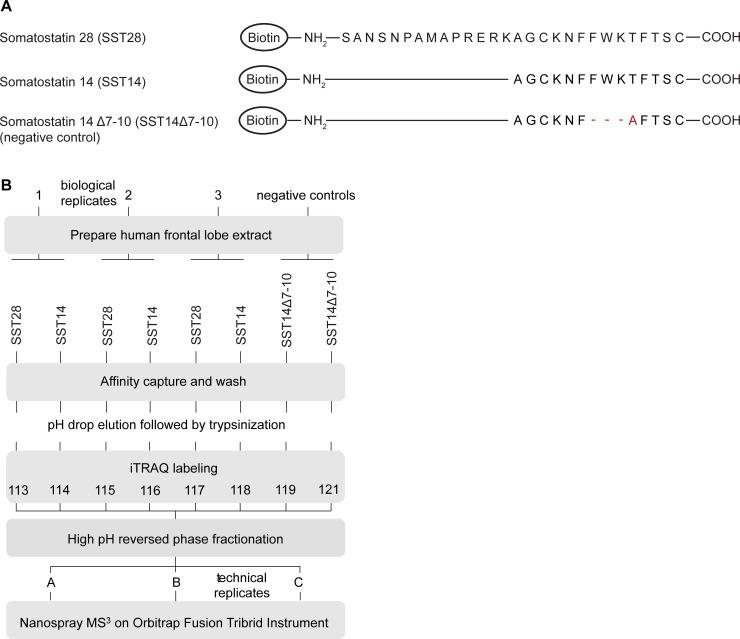 https://cdn.ncbi.nlm.nih.gov/pmc/blobs/998e/6538167/083d7f72f017/pone.0217392.g001.jpg