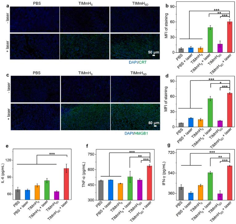 https://cdn.ncbi.nlm.nih.gov/pmc/blobs/998e/9465322/82289abc597e/gr6.jpg