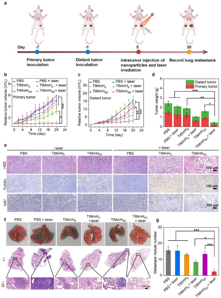 https://cdn.ncbi.nlm.nih.gov/pmc/blobs/998e/9465322/ec2e13fdc514/gr5.jpg