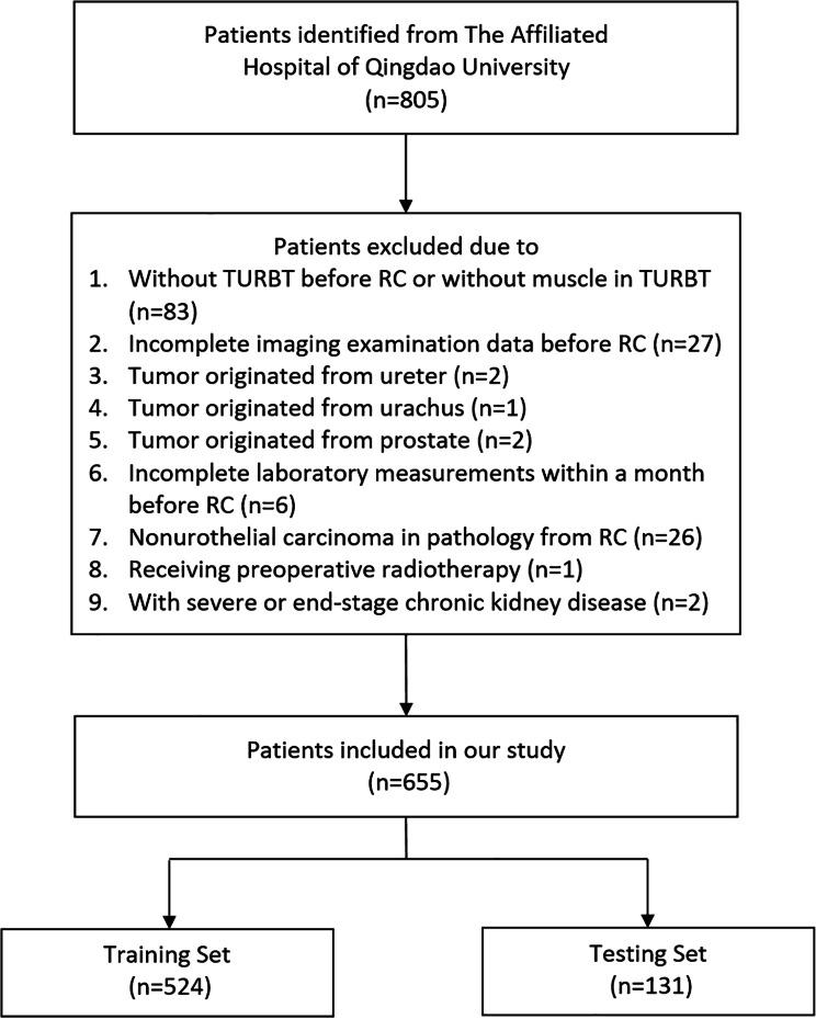 https://cdn.ncbi.nlm.nih.gov/pmc/blobs/998f/11170799/8fe70edd7dbd/12885_2024_12467_Fig1_HTML.jpg