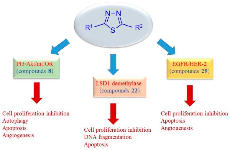 https://cdn.ncbi.nlm.nih.gov/pmc/blobs/998f/12030488/7e7dcfddc18b/pharmaceuticals-18-00580-g006.jpg