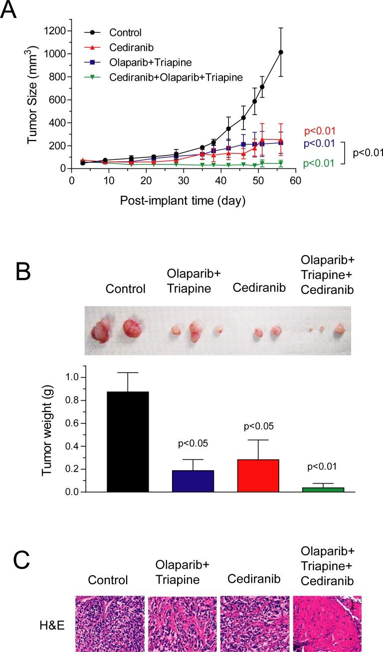 https://cdn.ncbi.nlm.nih.gov/pmc/blobs/9990/6239325/b95f4fb9773f/pone.0207399.g001.jpg