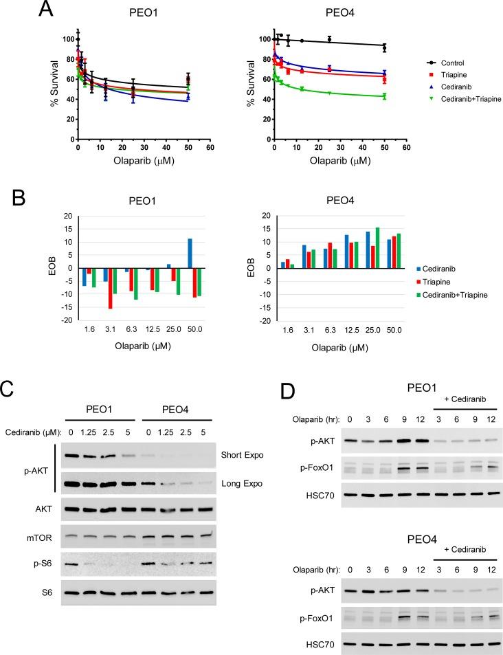 https://cdn.ncbi.nlm.nih.gov/pmc/blobs/9990/6239325/f282cef07770/pone.0207399.g006.jpg