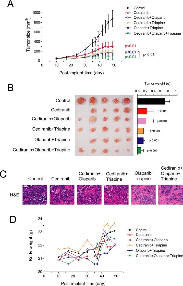 https://cdn.ncbi.nlm.nih.gov/pmc/blobs/9990/6239325/f7100f628a8e/pone.0207399.g002.jpg