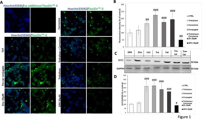 https://cdn.ncbi.nlm.nih.gov/pmc/blobs/9993/11412431/4e23200091ca/10571_2022_1273_Fig1_HTML.jpg