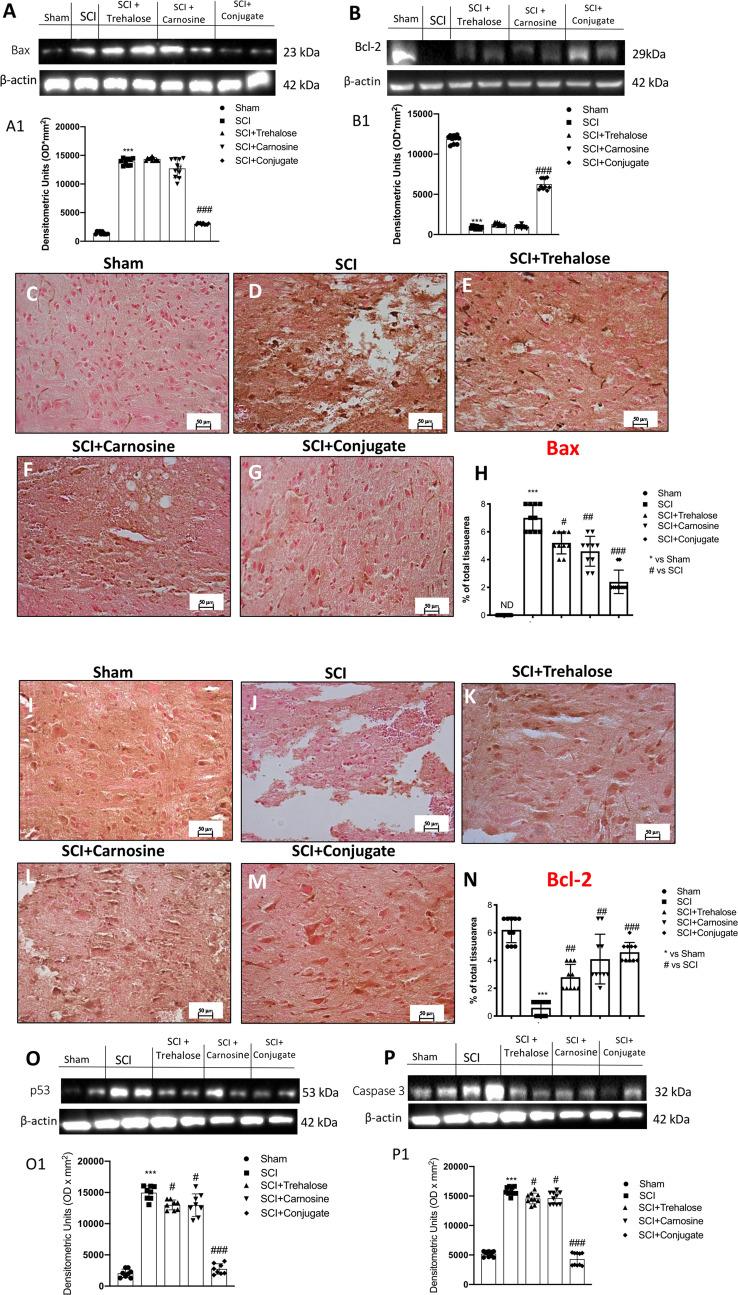 https://cdn.ncbi.nlm.nih.gov/pmc/blobs/9993/11412431/da397bbed9c9/10571_2022_1273_Fig6_HTML.jpg