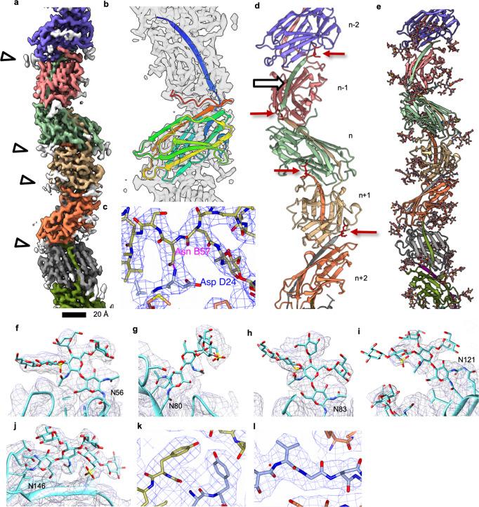 https://cdn.ncbi.nlm.nih.gov/pmc/blobs/9995/9715654/180f54181a6a/41467_2022_34652_Fig1_HTML.jpg