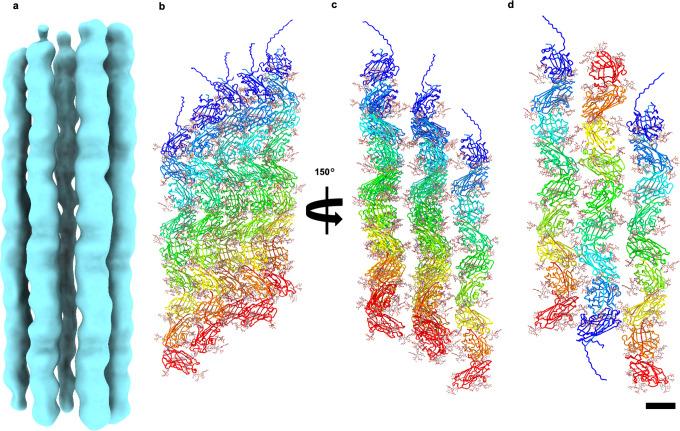 https://cdn.ncbi.nlm.nih.gov/pmc/blobs/9995/9715654/e0919422b46e/41467_2022_34652_Fig2_HTML.jpg