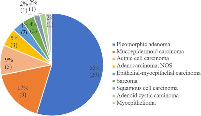 https://cdn.ncbi.nlm.nih.gov/pmc/blobs/9996/11149764/519825172686/LIO2-9-e1275-g002.jpg