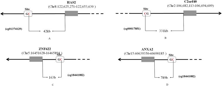 https://cdn.ncbi.nlm.nih.gov/pmc/blobs/9996/6197569/21b9762259ab/gr6.jpg