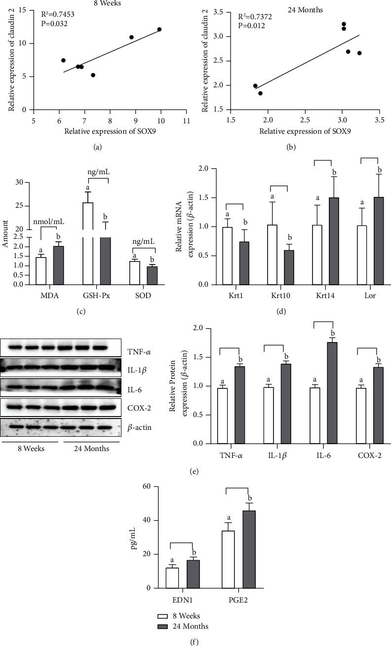 https://cdn.ncbi.nlm.nih.gov/pmc/blobs/9996/9357741/256cd94c495c/CMMI2022-6884308.006.jpg