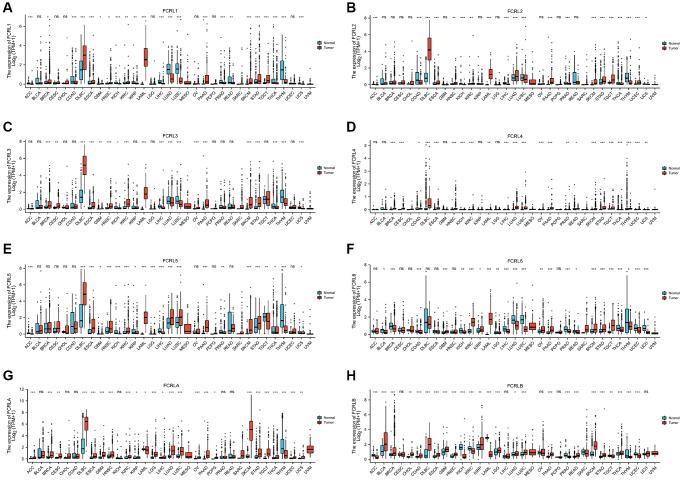 https://cdn.ncbi.nlm.nih.gov/pmc/blobs/9997/10292877/1f33f4203d97/aging-15-204766-g001.jpg