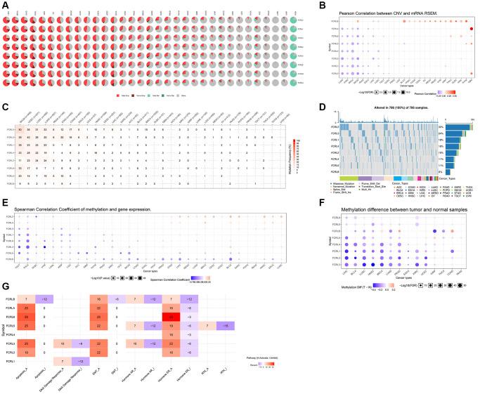 https://cdn.ncbi.nlm.nih.gov/pmc/blobs/9997/10292877/47d59d79a6b1/aging-15-204766-g004.jpg