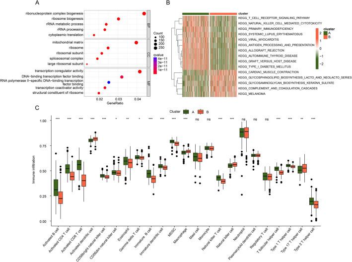 https://cdn.ncbi.nlm.nih.gov/pmc/blobs/9999/10805801/caea945256ad/41598_2024_51536_Fig3_HTML.jpg