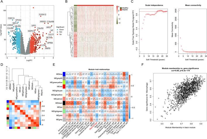 https://cdn.ncbi.nlm.nih.gov/pmc/blobs/9999/10805801/cd1cc7122db9/41598_2024_51536_Fig1_HTML.jpg