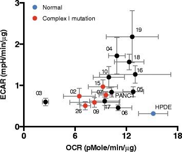 https://cdn.ncbi.nlm.nih.gov/pmc/blobs/9999/5282905/6fe0a74272e0/40170_2017_164_Fig2_HTML.jpg