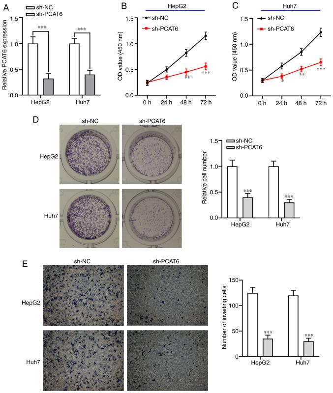 https://cdn.ncbi.nlm.nih.gov/pmc/blobs/99a0/8063269/0be8bbedda33/ol-21-06-12732-g01.jpg