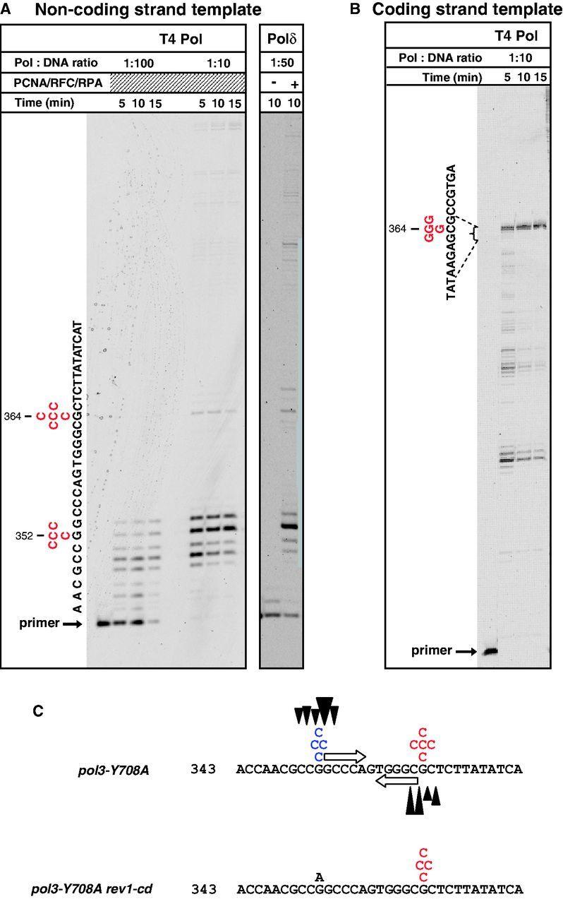 https://cdn.ncbi.nlm.nih.gov/pmc/blobs/99a2/3874155/41afeb775990/gkt830f8p.jpg
