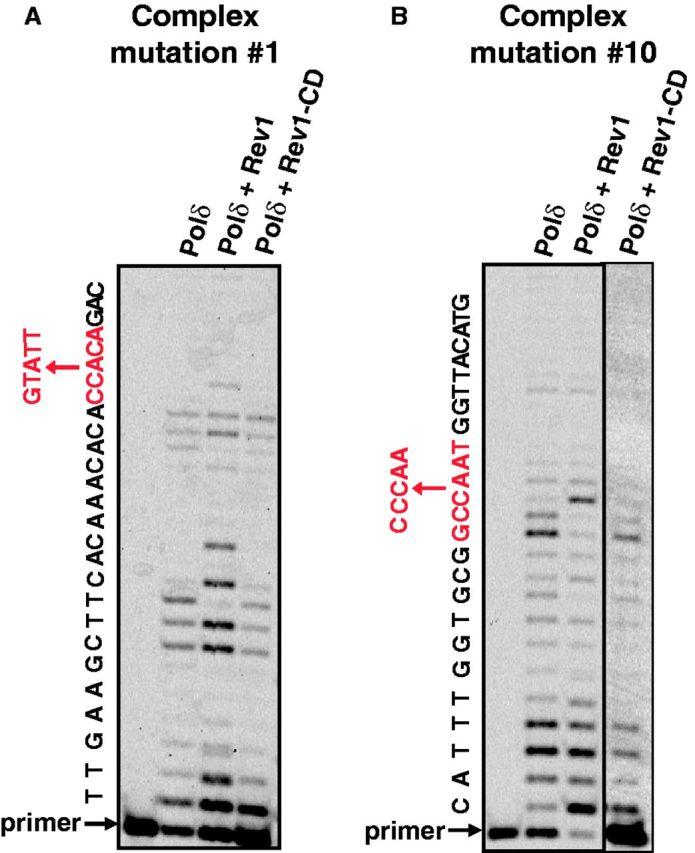 https://cdn.ncbi.nlm.nih.gov/pmc/blobs/99a2/3874155/492ade7a8d73/gkt830f3p.jpg