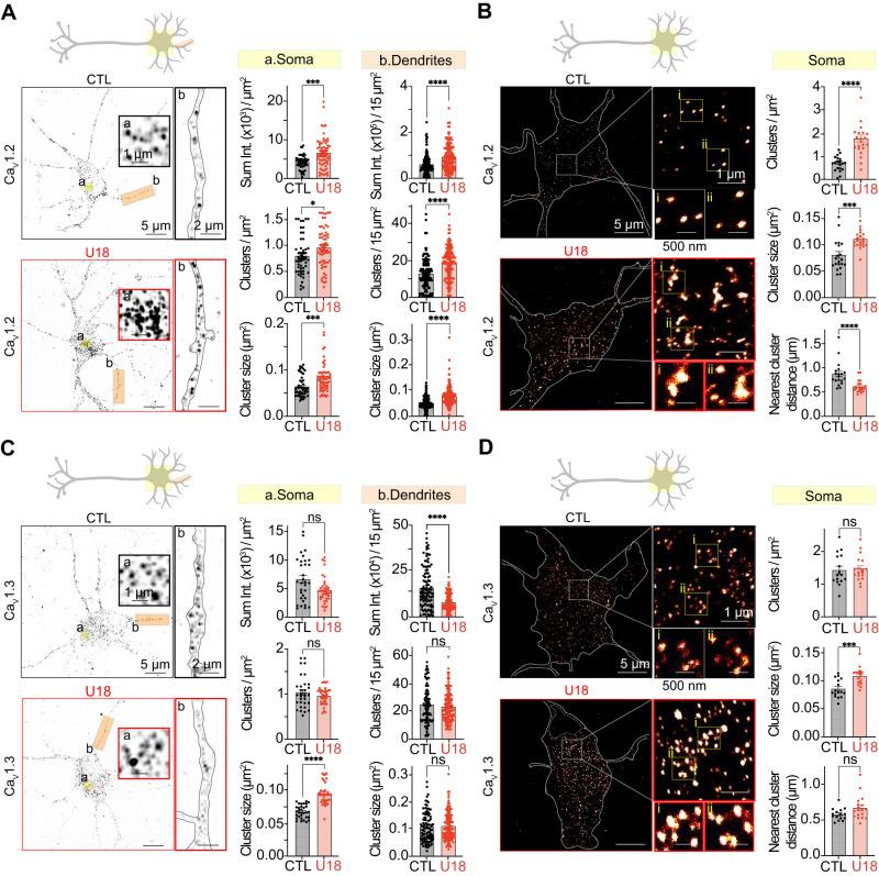 https://cdn.ncbi.nlm.nih.gov/pmc/blobs/99a6/10382591/091ebefd6d22/41467_2023_39937_Fig2_HTML.jpg