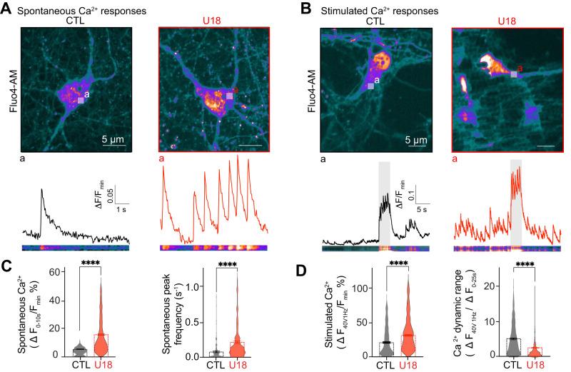 https://cdn.ncbi.nlm.nih.gov/pmc/blobs/99a6/10382591/18b3311f35b4/41467_2023_39937_Fig1_HTML.jpg