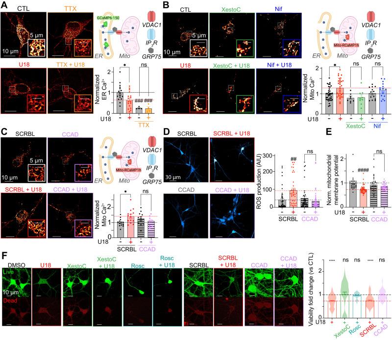 https://cdn.ncbi.nlm.nih.gov/pmc/blobs/99a6/10382591/7a63748e1afe/41467_2023_39937_Fig10_HTML.jpg