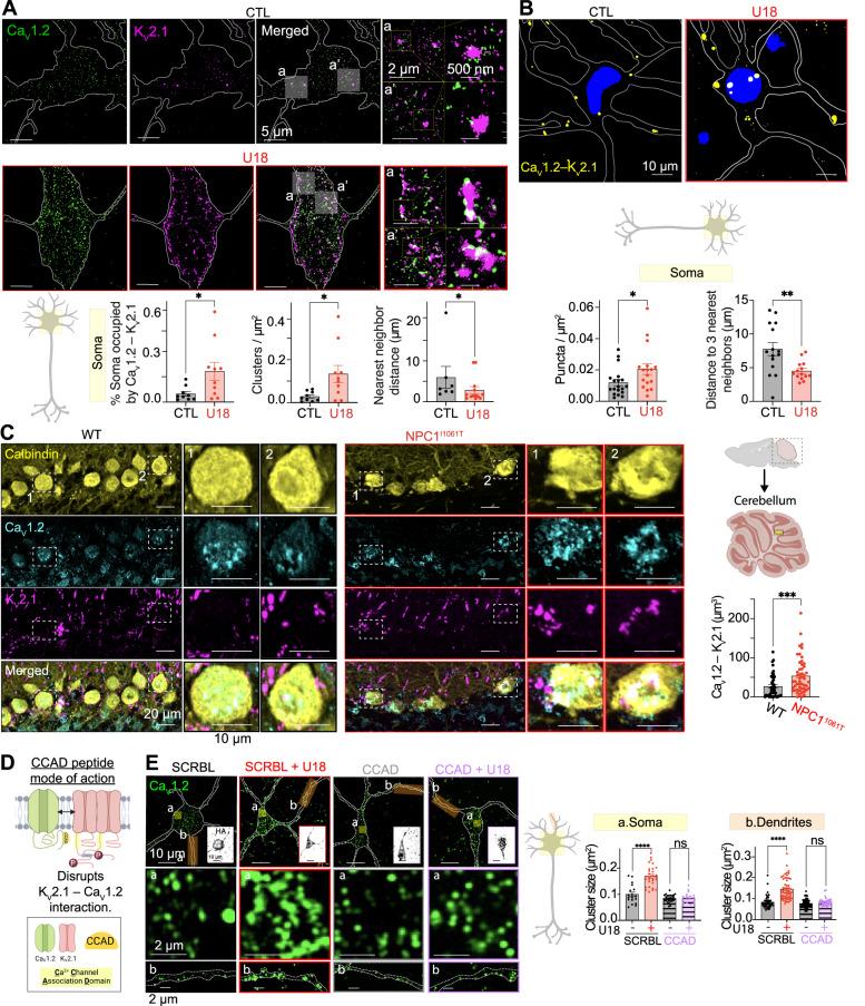 https://cdn.ncbi.nlm.nih.gov/pmc/blobs/99a6/10382591/aac5170780c8/41467_2023_39937_Fig4_HTML.jpg