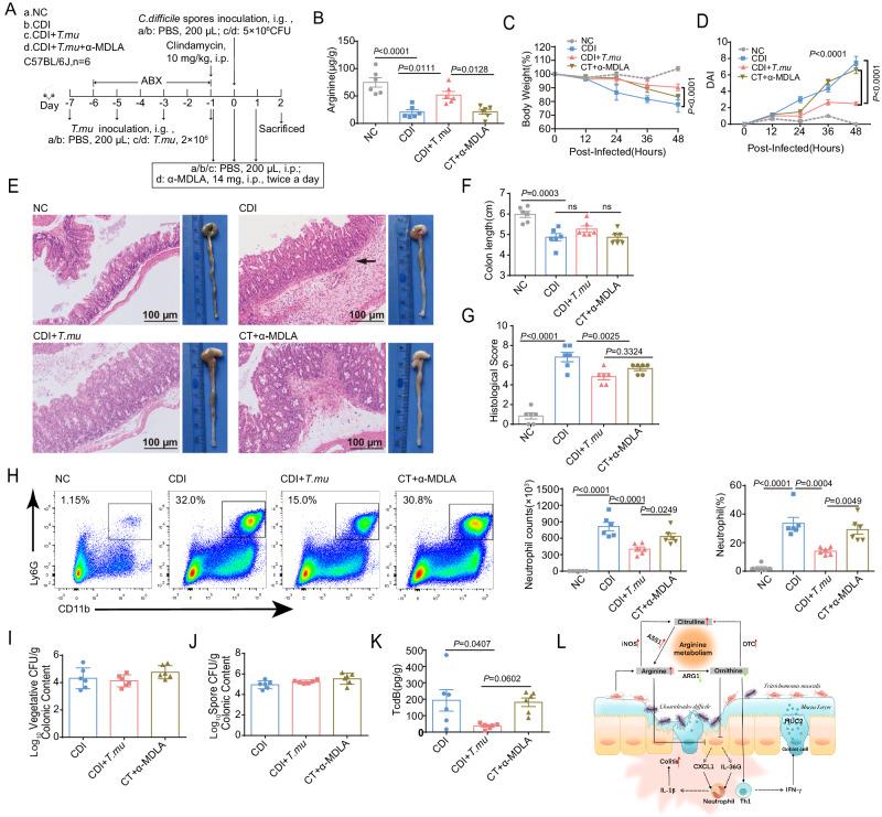 https://cdn.ncbi.nlm.nih.gov/pmc/blobs/99a6/10987486/3f5148d9a31a/41467_2024_47075_Fig7_HTML.jpg