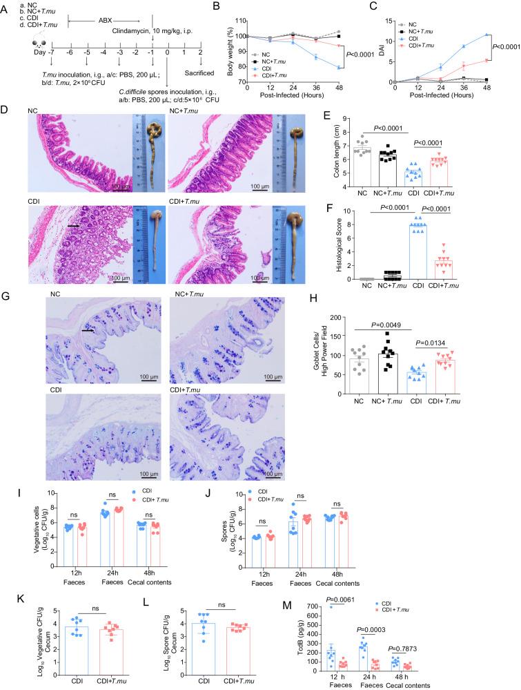 https://cdn.ncbi.nlm.nih.gov/pmc/blobs/99a6/10987486/cc18d0bbd436/41467_2024_47075_Fig1_HTML.jpg