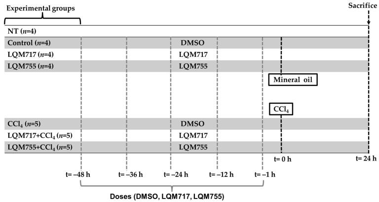 https://cdn.ncbi.nlm.nih.gov/pmc/blobs/99a6/12109523/4949ab929341/biomedicines-13-01094-g005.jpg