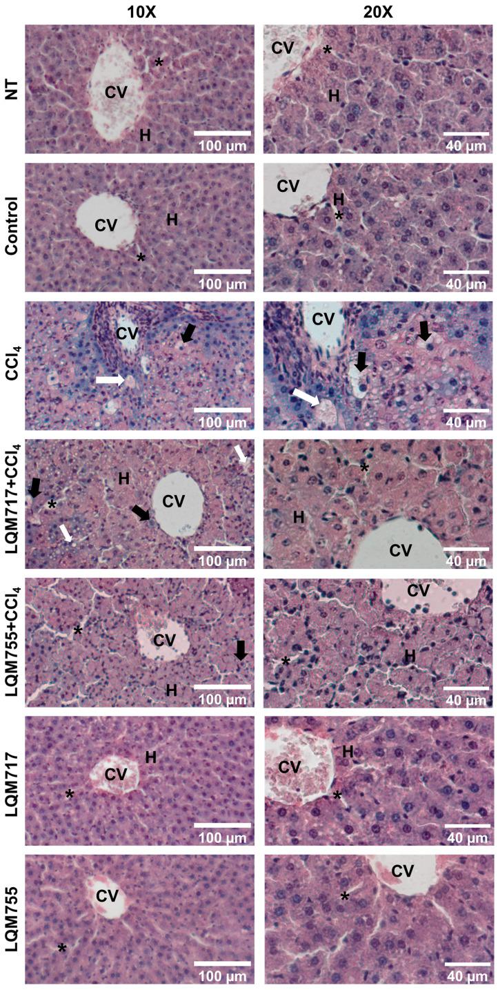 https://cdn.ncbi.nlm.nih.gov/pmc/blobs/99a6/12109523/6da82c2310c5/biomedicines-13-01094-g010.jpg