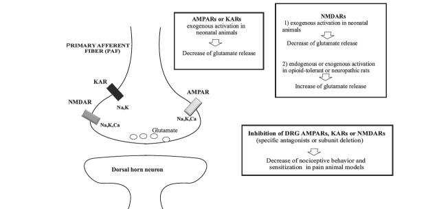 https://cdn.ncbi.nlm.nih.gov/pmc/blobs/99a8/3763755/a985bde8a236/CN-11-477_F1.jpg